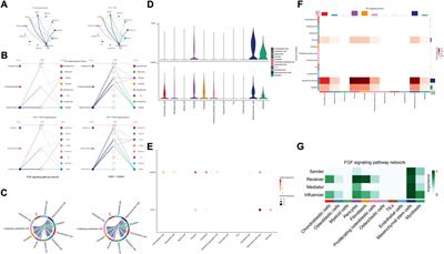 Comprehensive analysis of potential cellular communication networks in advanced osteosarcoma using single-cell RNA sequencing data